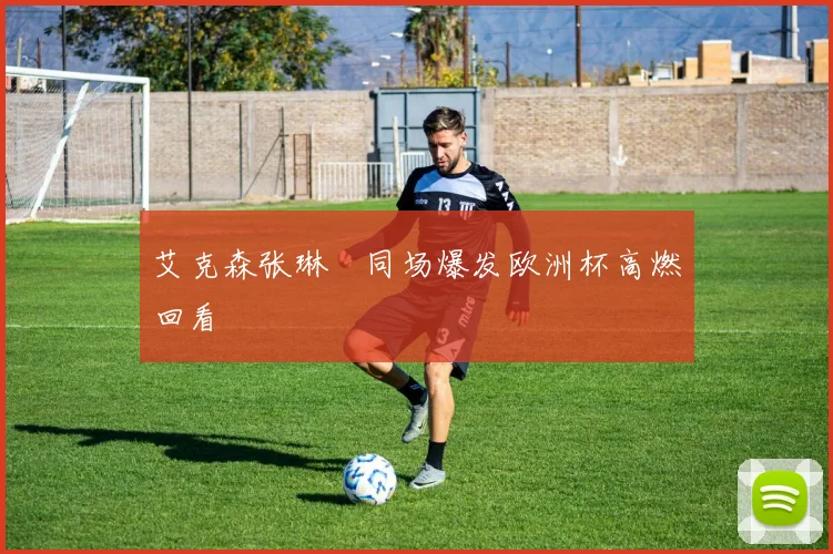 艾克森张琳芃同场爆发欧洲杯高燃回看