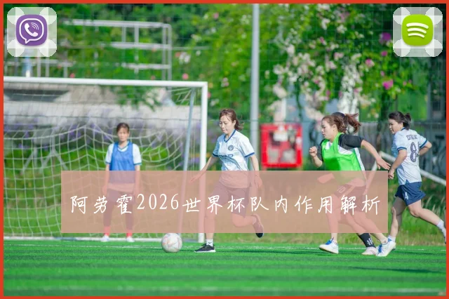 阿劳霍2026世界杯队内作用解析