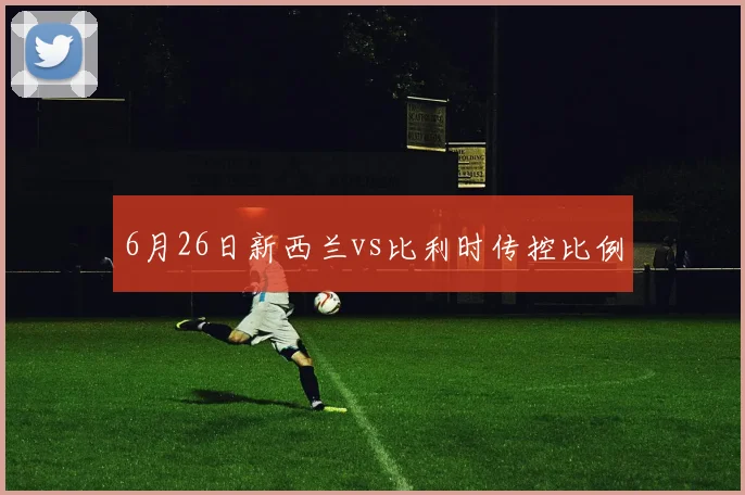 6月26日新西兰vs比利时传控比例