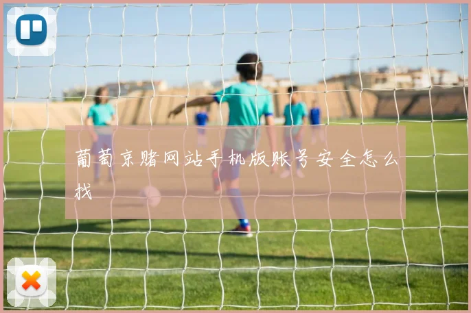 葡萄京赌网站手机版账号安全怎么找