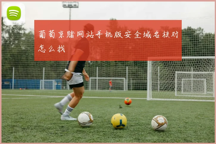 葡萄京赌网站手机版安全域名核对怎么找