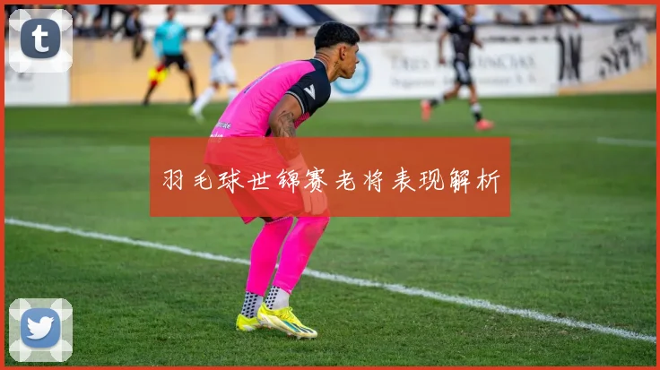 羽毛球世锦赛老将表现解析